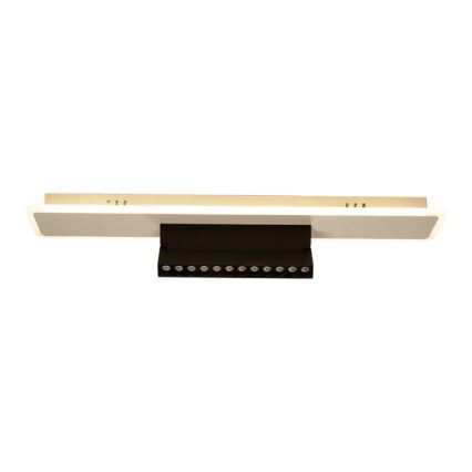 LED Hämardatav laevalgusti LED/42W/230V 3000-6500K valge + kaugjuhtimispult