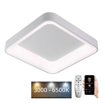 LED Hämardatav laevalgusti LED/45W/230V 3000-6500K valge + kaugjuhtimispult
