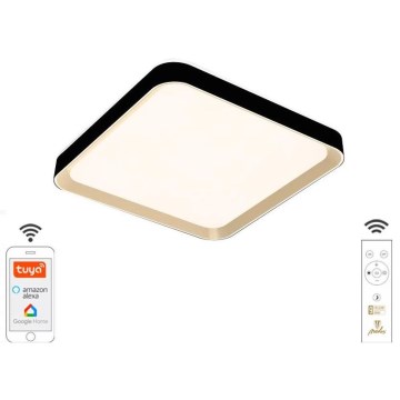 LED Hämardatav laevalgusti LED/48W/230V 2700-6500K Wi-Fi Tuya + kaugjuhtimispult