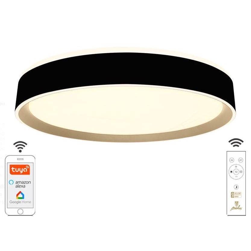 LED Hämardatav laevalgusti LED/48W/230V 2700-6500K Wi-Fi Tuya + pult