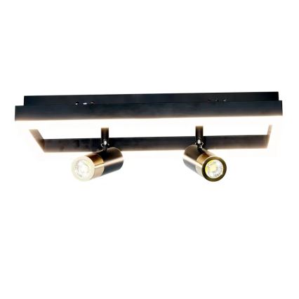 LED Hämardatav laevalgusti LED/50W/230V 3000-6500K must + kaugjuhtimispult