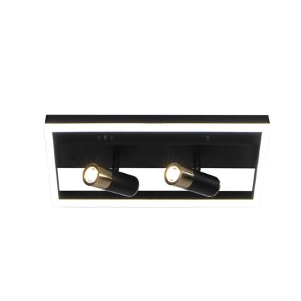 LED Hämardatav laevalgusti LED/50W/230V 3000-6500K must + kaugjuhtimispult