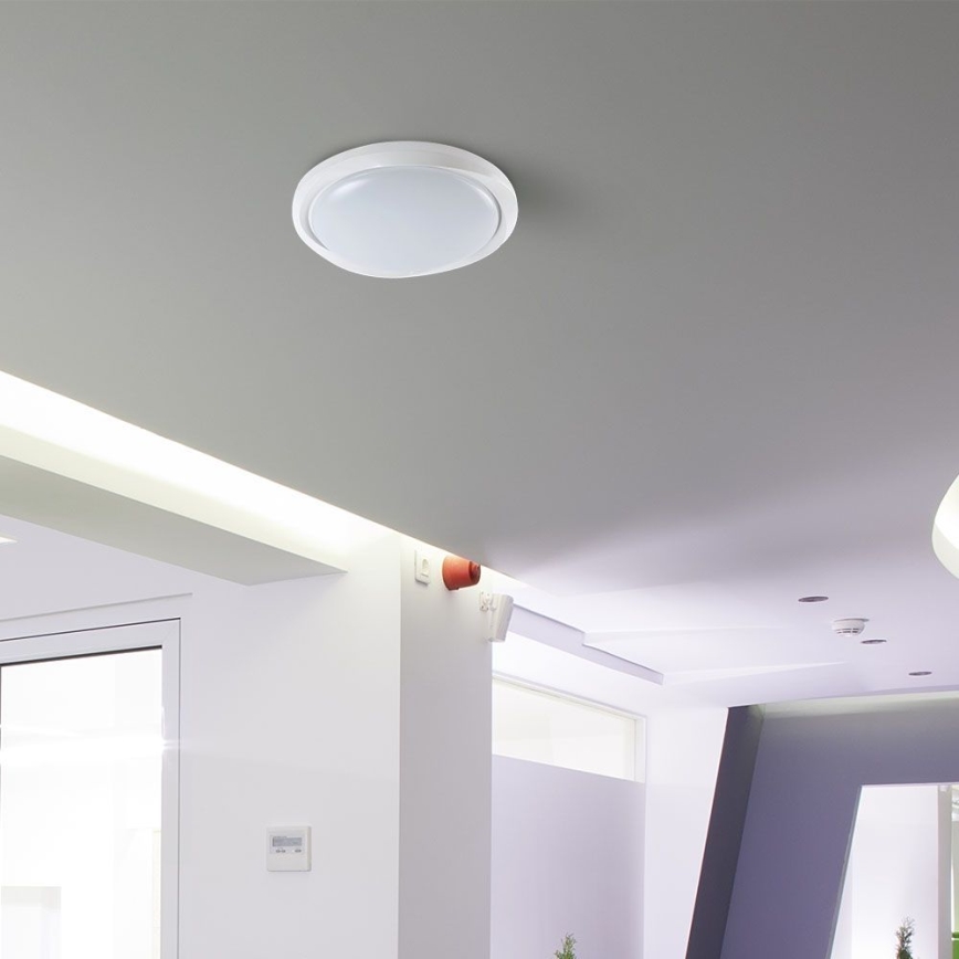 LED Hämardatav laevalgusti LED/60W/230V 3000-6500K 49,2 cm valge + kaugjuhtimispult