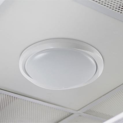LED Hämardatav laevalgusti LED/60W/230V 3000-6500K 49,2 cm valge + kaugjuhtimispult