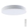 LED Hämardatav laevalgusti LED/60W/230V 3000-6500K 49,5 cm valge + kaugjuhtimispult