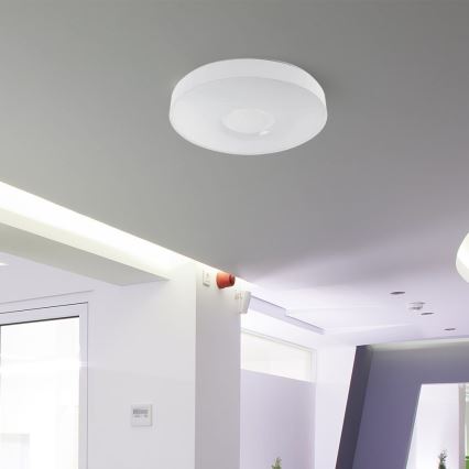 LED Hämardatav laevalgusti LED/60W/230V 3000-6500K 49,5 cm valge + kaugjuhtimispult