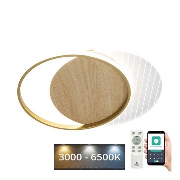 LED Hämardatav laevalgusti LED/60W/230V 3000-6500K + kaugjuhtimispult