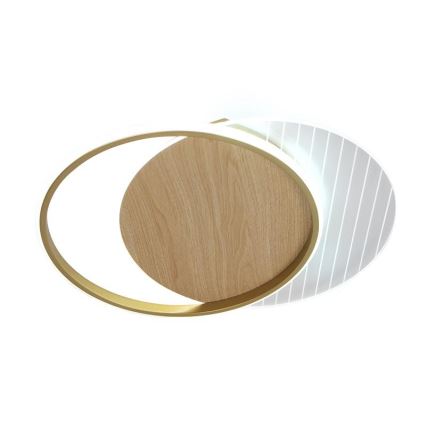 LED Hämardatav laevalgusti LED/60W/230V 3000-6500K + kaugjuhtimispult