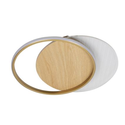 LED Hämardatav laevalgusti LED/60W/230V 3000-6500K + kaugjuhtimispult