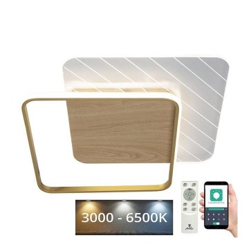 LED Hämardatav laevalgusti LED/60W/230V 3000-6500K + kaugjuhtimispult