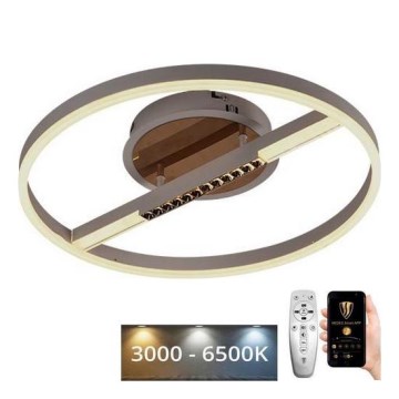 LED Hämardatav laevalgusti LED/60W/230V 3000-6500K + kaugjuhtimispult