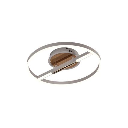 LED Hämardatav laevalgusti LED/60W/230V 3000-6500K + kaugjuhtimispult