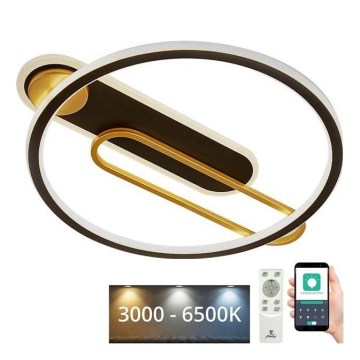 LED Hämardatav laevalgusti LED/60W/230V 3000-6500K must + kaugjuhtimispult