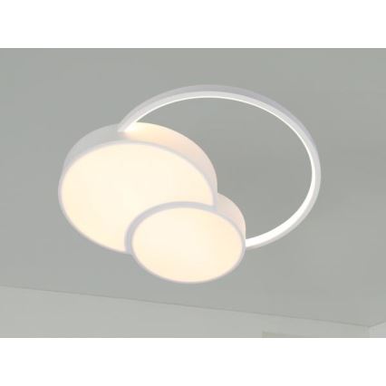 LED Hämardatav laevalgusti LED/60W/230V 3000-6500K valge + kaugjuhtimispult
