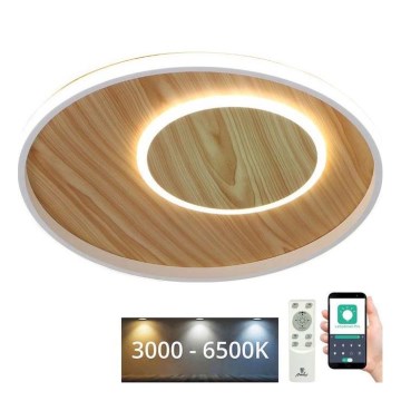 LED Hämardatav laevalgusti LED/65W/230V 3000-6500K pruun + kaugjuhtimispult
