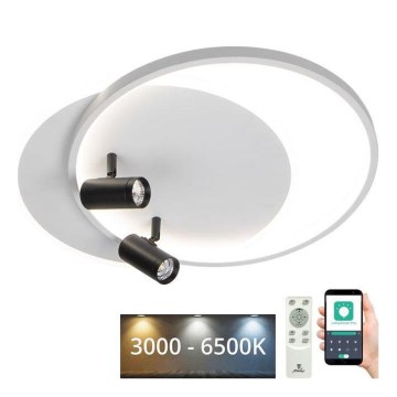 LED Hämardatav laevalgusti LED/65W/230V 3000-6500K valge + kaugjuhtimispult