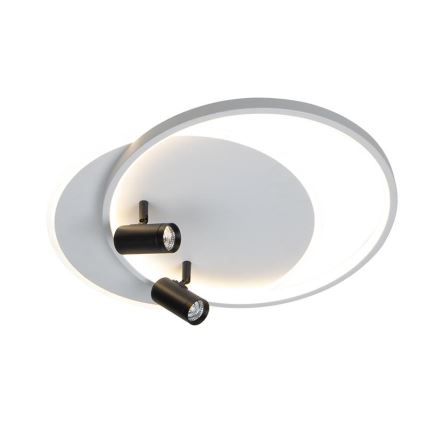 LED Hämardatav laevalgusti LED/65W/230V 3000-6500K valge + kaugjuhtimispult