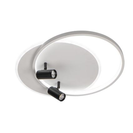LED Hämardatav laevalgusti LED/65W/230V 3000-6500K valge + kaugjuhtimispult