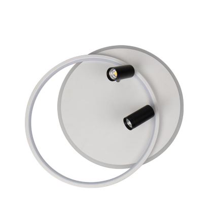 LED Hämardatav laevalgusti LED/65W/230V 3000-6500K valge + kaugjuhtimispult