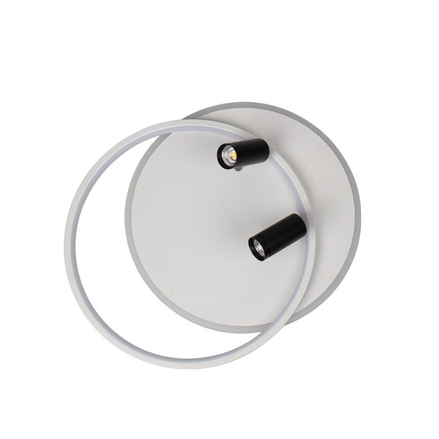 LED Hämardatav laevalgusti LED/65W/230V 3000-6500K valge + kaugjuhtimispult