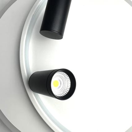 LED Hämardatav laevalgusti LED/65W/230V 3000-6500K valge + kaugjuhtimispult