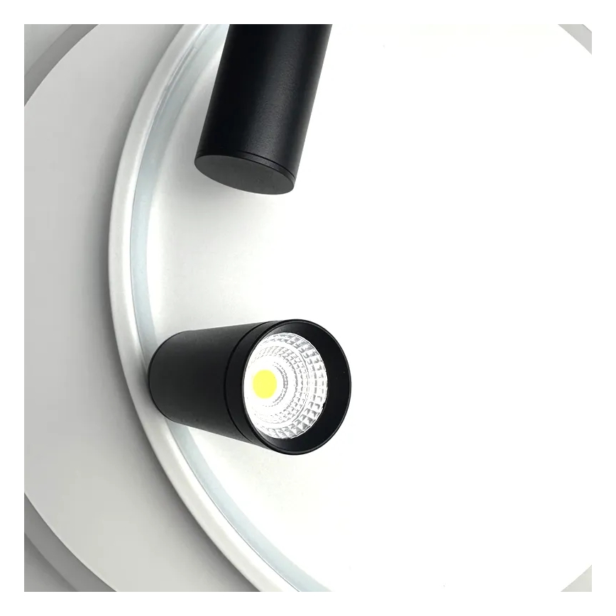 LED Hämardatav laevalgusti LED/65W/230V 3000-6500K valge + kaugjuhtimispult