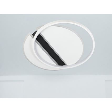 LED Hämardatav laevalgusti LED/80W/230V 3000-6500K valge + kaugjuhtimispult