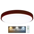 LED Hämardatav laevalgusti LENA LED/60W/230V 3000-6500K tamm + kaugjuhtimispult