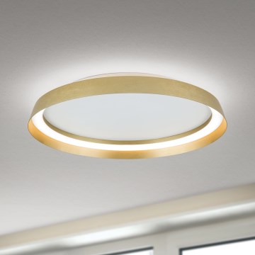 LED Hämardatav laevalgusti MANTA LED/38W/230V 2700/3000/4000K d. 45 cm kuldne