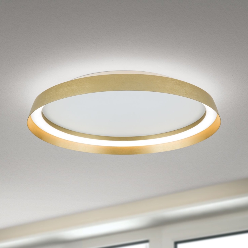 LED Hämardatav laevalgusti MANTA LED/38W/230V 2700/3000/4000K d. 45 cm kuldne