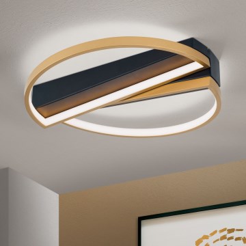 LED Hämardatav laevalgusti OLGA LED/28W/230V kuldne/must