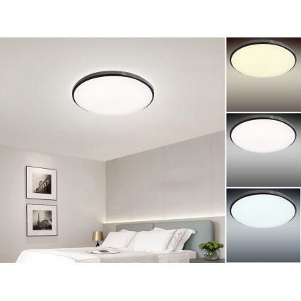 LED Hämardatav laevalgusti OPAL LED/50W/230V + kaugjuhtimispult