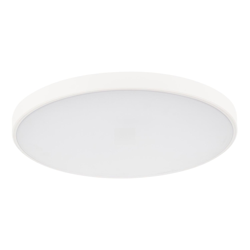 LED Hämardatav laevalgusti PLAFON LED/20W/230V 3000-6500K Wi-Fi valge