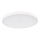 LED Hämardatav laevalgusti PLAFON LED/20W/230V 3000-6500K Wi-Fi valge