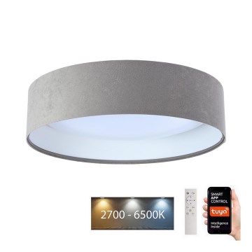 LED Hämardatav laevalgusti SMART GALAXY LED/24W/230V d. 45 cm 2700-6500K Wi-Fi Tuya hall/valge + kaugjuhtimispult