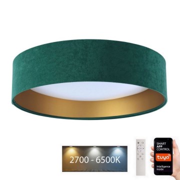 LED Hämardatav laevalgusti  SMART GALAXY LED/24W/230V d. 45 cm 2700-6500K Wi-Fi Tuya roheline/kuldne + kaugjuhtimispult