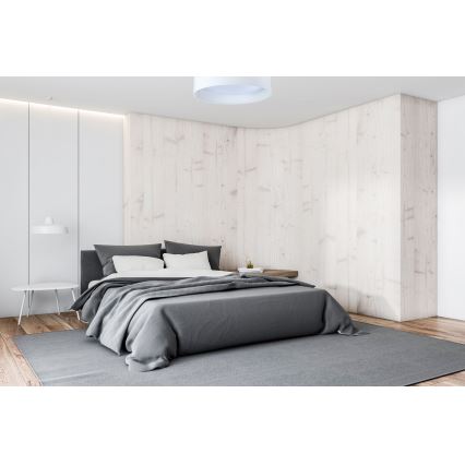 LED Hämardatav laevalgusti SMART GALAXY LED/24W/230V d. 44 cm valge 3000-6500K + kaugjuhtimispult