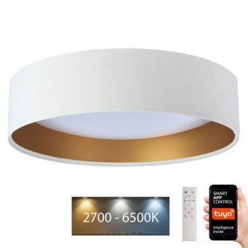 LED Hämardatav laevalgusti SMART GALAXY LED/36W/230V d. 55 cm 2700-6500K Wi-Fi Tuya valge/kuldne+kaugjuhtimispult