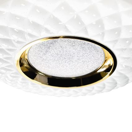 LED Hämardatav laevalgusti TOKYO LED/48W/230V 3000-6000K + pult