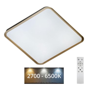 LED Hämardatav laevalgusti UNA LED/60W/230V 2700-6500K 50x50 cm + kaugjuhtimispult