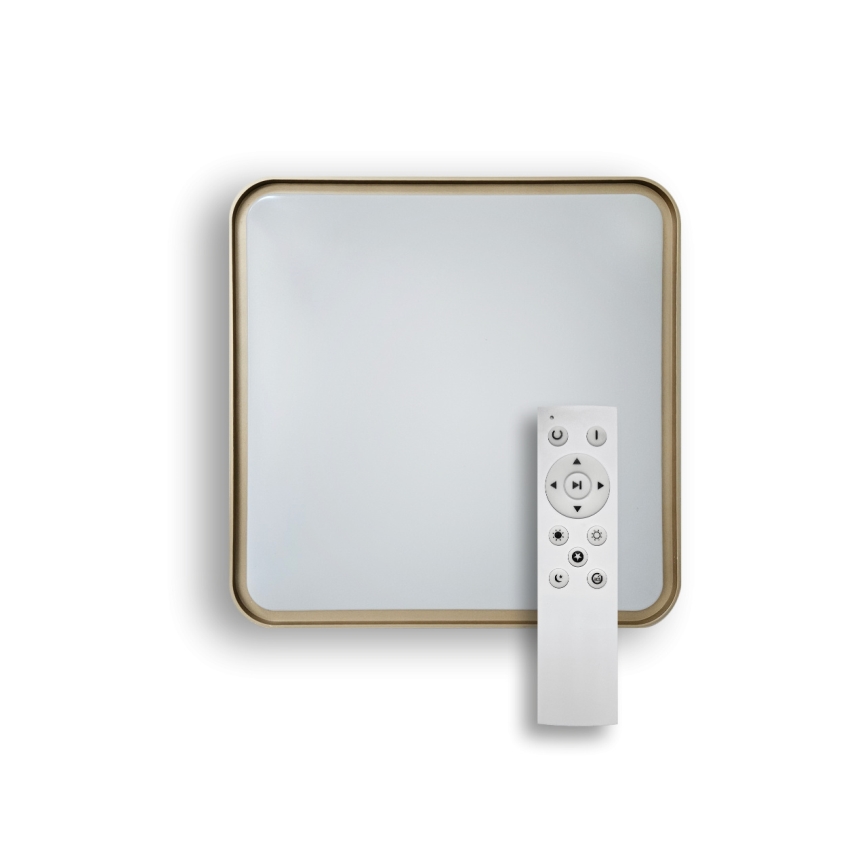 LED Hämardatav laevalgusti UNA LED/60W/230V 2700-6500K 50x50 cm + kaugjuhtimispult
