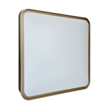 LED Hämardatav laevalgusti UNA LED/60W/230V 2700-6500K 50x50 cm + kaugjuhtimispult