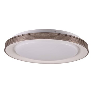 LED Hämardatav laevalgusti vannituppa GRAŻYNA LED/48W/230V 3000-6000K d. 41 cm IP44 hall + kaugjuhtimispult