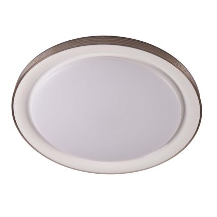 LED Hämardatav laevalgusti vannituppa GRAŻYNA LED/48W/230V 3000-6000K d. 41 cm IP44 hall + kaugjuhtimispult