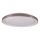 LED Hämardatav laevalgusti vannituppa GRAŻYNA LED/72W/230V 3000-6000K d. 51 cm IP44 hall + kaugjuhtimispult