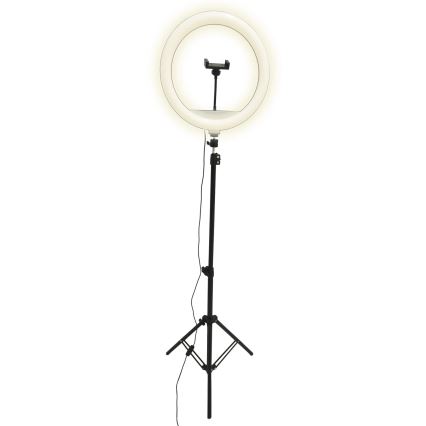 LED Hämardatav lamp statiivi ja hoidjaga vlogimise jaoks LED/15W/5V 2700-6500K