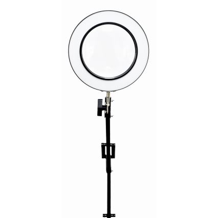 LED Hämardatav laualamp koos luubiga LED/10W/230V 3000/4500/6000K