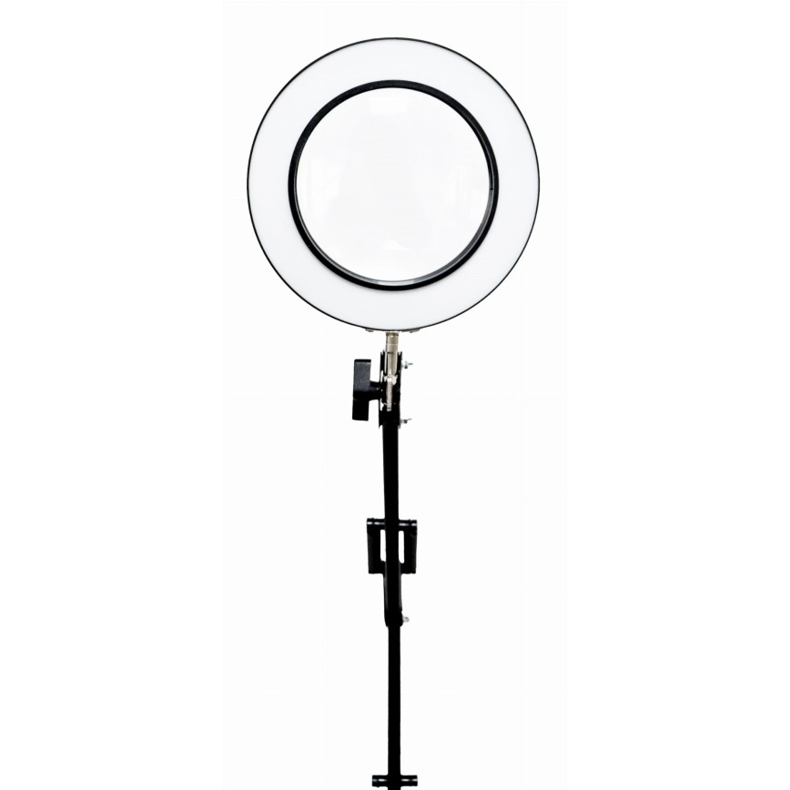 LED Hämardatav laualamp koos luubiga LED/10W/230V 3000/4500/6000K