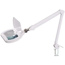 LED Hämardatav laualamp luubiga LED/12W/230V valge