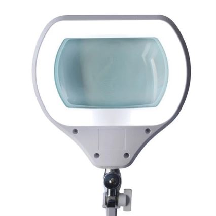 LED Hämardatav laualamp luubiga LED/12W/230V valge